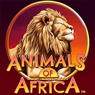 Danza del Sol: jogo de cassino online no Zanza Casino Perú
